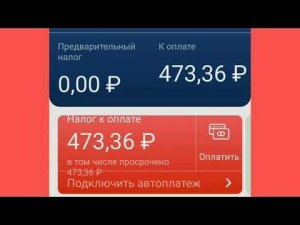 будут ПЕНИИ если заплатить чуть с опозданием в моём нАлоге