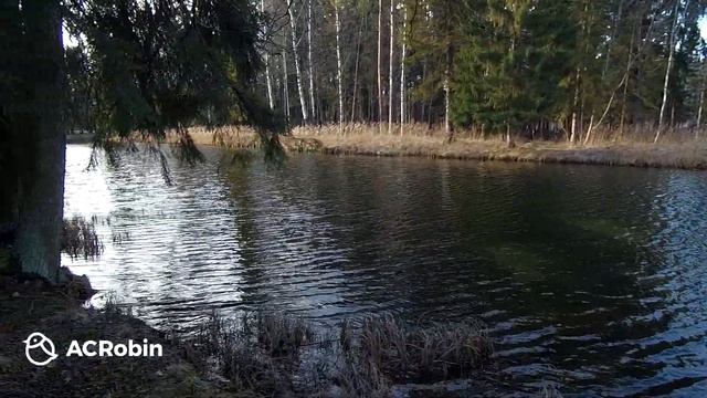 Парк в Гатчине. Лен. Область. часть 2.7 гатчинский дворец смотреть онлайн