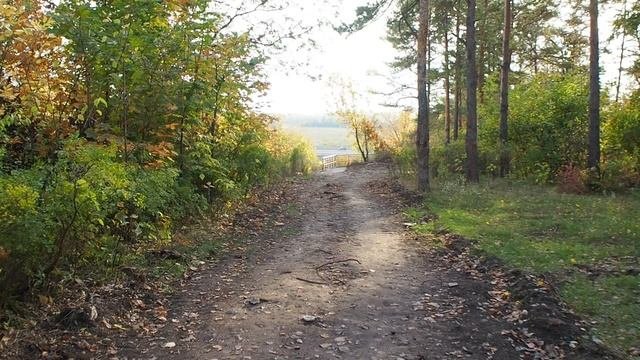Уфа. Прогулка в лесу, Президент отель, осень  2023
