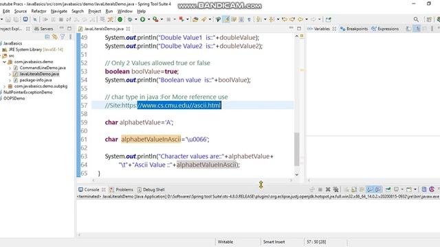 What are literals in Java and its types? [Core Java Basics]