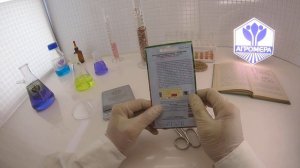 Лен Крупноцветковый Рубрум.  Артикул