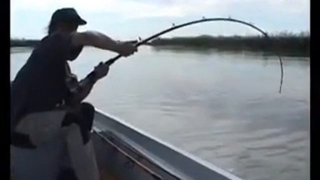 Рыбалка на сома смотреть онлайн