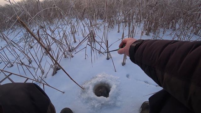 #рыбалкасольда #зимняярыбалка Зимняя рыбалка в Озёрах. Отчёт с озера Кань.