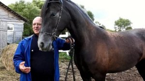Интервью с владельцами конного двора Роксана