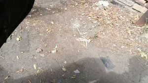 приора, ремонт дна