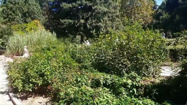 Красивейшие виды под красивую музыку ,смотреть онлайн без регистрации. смотреть онлайн