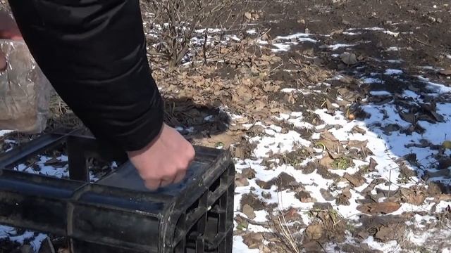 Тест Фортуна М;М 2;М 3;Фортуна про;Фортуна S и Квазар смотреть онлайн