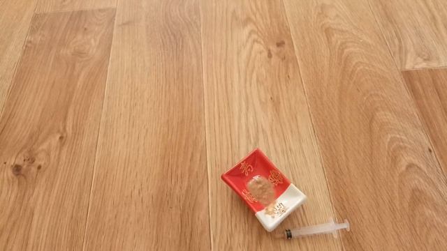 Первый прикорм котят абиссинок. Удался？ смотреть онлайн