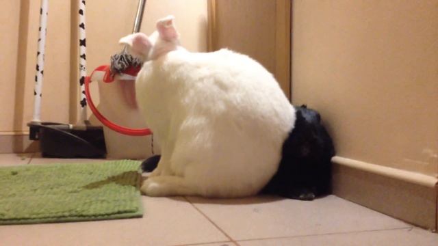 Самый удобный диван на свете!!!! смотреть онлайн