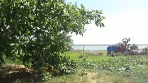 Домик на Миусском лимане