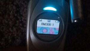 Samsung SGH-S300 Входящий вызов/Incoming call