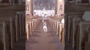 alex g - sometimes (432hz)