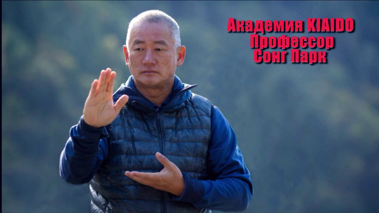 Киай Тайчи: В чем его отличие от традиционных стилей? | Академия Киайдо | Гранд Мастер Сонг Парк