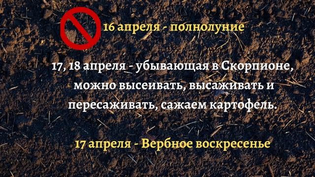 ТОЧНЫЙ ЛУННЫЙ ПОСЕВНОЙ КАЛЕНДАРЬ НА АПРЕЛЬ 2022 по дням  #лунныйпосевнойкалендарь