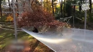 Привет осень. Осенние приколы