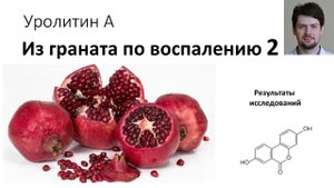 Уролитин А - помощь при хроническом воспалении? Продолжение. Результаты исследований.