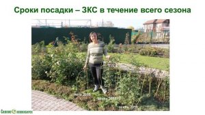 Выращивание РОЗ. Видеолекция