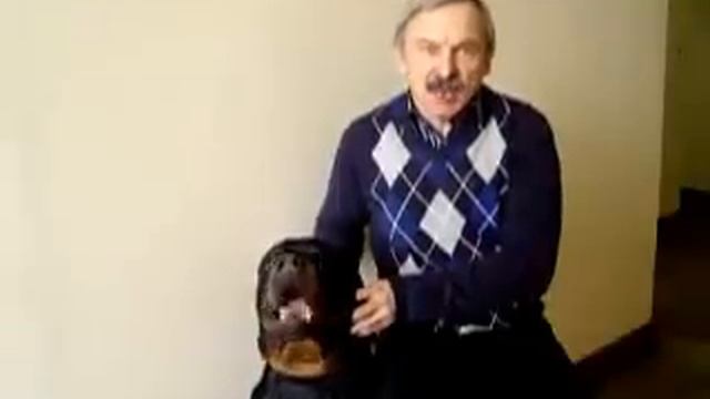 Уроки дрессировки. Вступление.