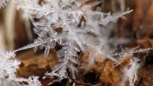 Анна Герман,,Любви негромкие словa,, смотреть онлайн