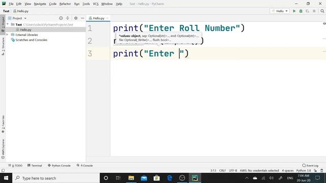 Simple python program to print values. | Python Program |