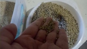 Цыплята Гриз Бар. "советы и советики"
