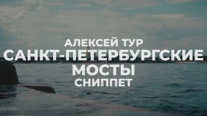 Алексей Тур - С-Петербургские мосты (СНИППЕТ, 2024)