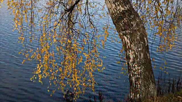 Вокальный квартет Улыбка Стоит над речкою береза смотреть онлайн