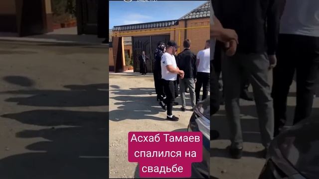 Брат видеограф на свадьбе встретил Асхаба Тамаева / Асхаб Тамаев  спалился на свадьбе. #асхабтамаев