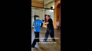 Тайцзицюань. Вращающие руки (Туй шоу) и один вариант применения шагов формы (3, 7 и 8)