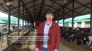 Частота раздачи корма и ее влияние на молочную продуктивность коров