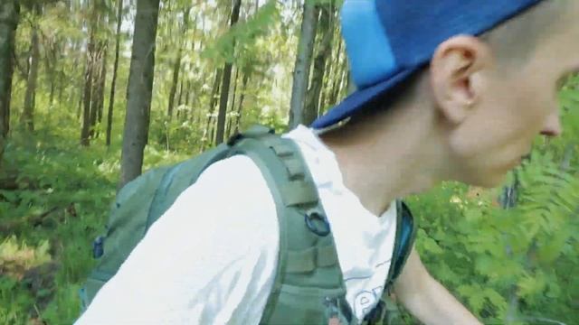 Откуда в лесу 