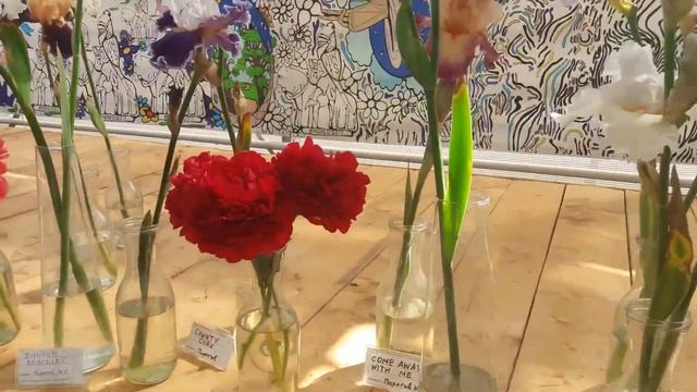 Ботанический сад МГУ 20.06.18 экскурсия. смотреть онлайн