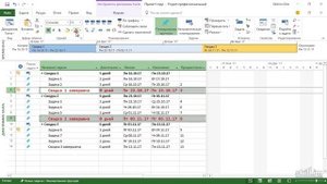 Бесплатный курс по Microsoft Project 2016 Урок 15 Форматирование данных
