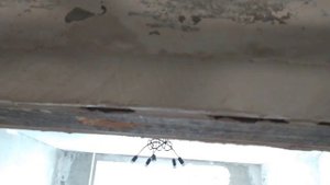 Дверной ПРОЁМ