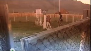 Таинственная Россия  Байкал  Живое озеро