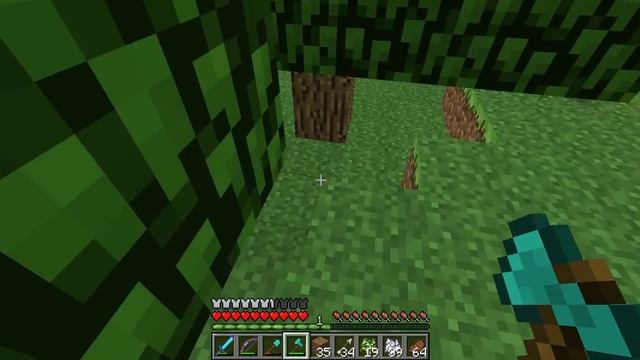 The Minecraft Shadow S2E10: NEED NEW SKIN!!! смотреть онлайн