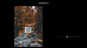 COLOR GRADING PRESET - BROWN AND BLACK - DNG & XMP