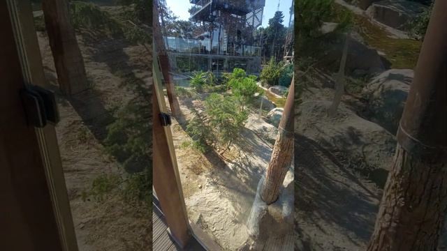 Баку Зоопарк 2023(1) смотреть онлайн