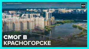 Жители Красногорска пожаловались на сильный смог - Москва 24