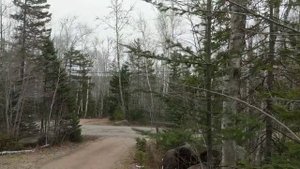 Дома в Канадской деревне  - в лесу, у озера