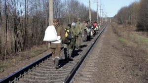 Их работа – поиск