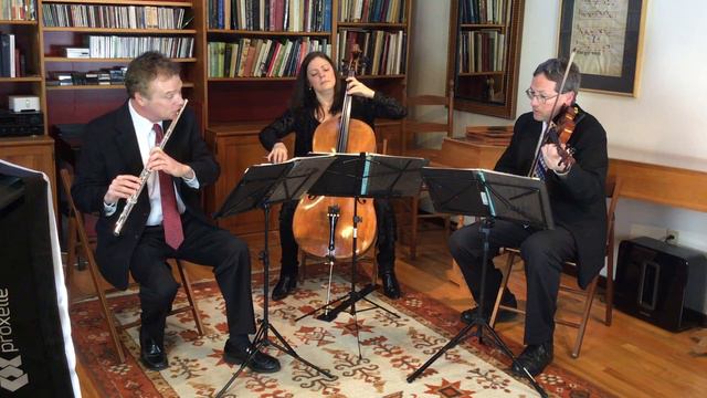 Flute violin and cello Spring Four Seasons Vivaldi
