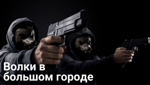 Дерзкое ограбление ювелирного магазина под камерами видеонаблюдения