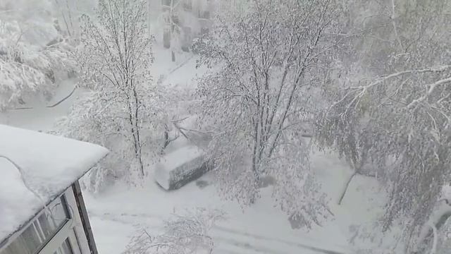 Зима.mp4 смотреть онлайн