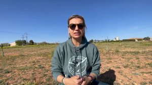 Сколько стоит ОЛИВКОВОЕ ПОЛЕ в Испании? 🫒 Жизнь в испанской деревне.