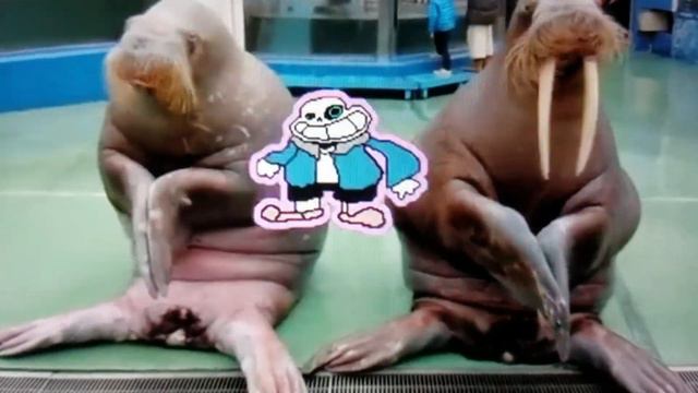 Sanic Vs Saness
