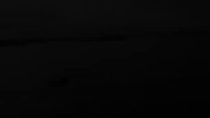 Карповый кораблик для рыбалки своими руками