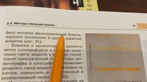 ?Биология 10 кл/Теремов/Тема 5: Методы изучения клетки /15.10.23 19:02