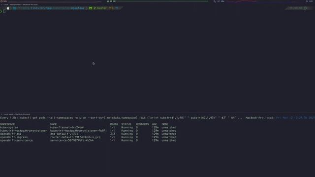 Demo: Containers and Kubernetes in the RISC-V Architecture - Carlos Eduardo de Paula, Red Hat смотреть онлайн