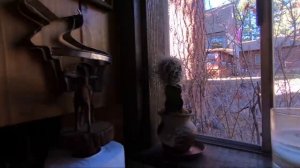 Отдых в горах Калифорнии | ПРИРОДА - это наше ВСЁ!